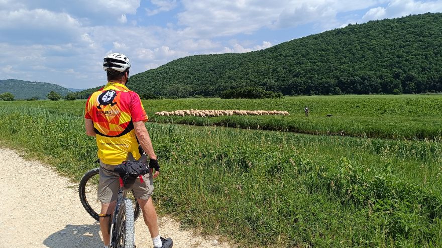 Cycling Croatia's Istrian Peninsula on the Explorer Tour